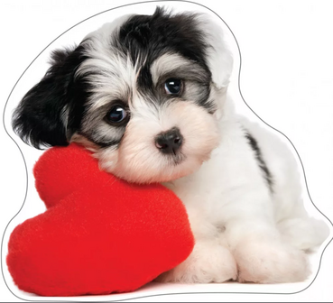 Puppy met hart kussen