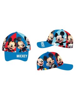 Mickey Mouse pet 