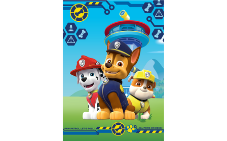 Paw Patrol fleece plaid 