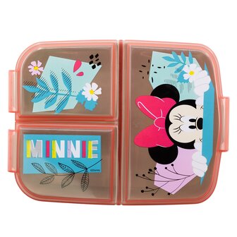 Minnie Mouse broodtrommel