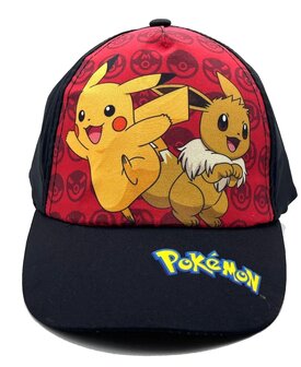 Pikachu &amp; Eevee Pok&eacute;mon Pet 