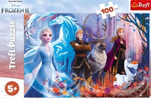Disney Frozen puzzel