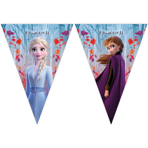 Disney Frozen vlaggenlijn